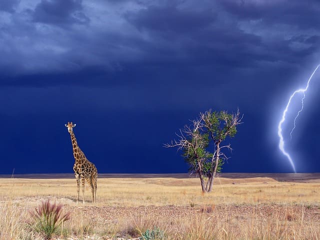 Regenzeit in Kenia