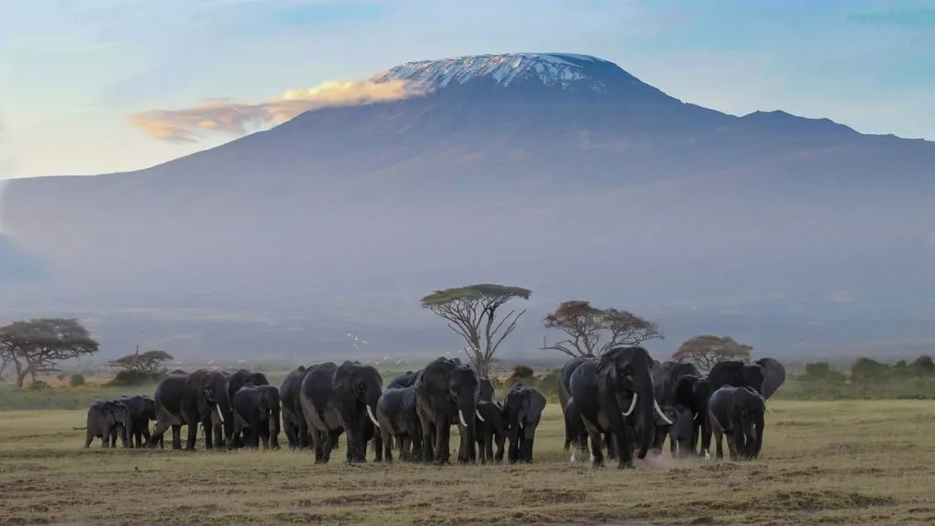Kenias Nationalparks