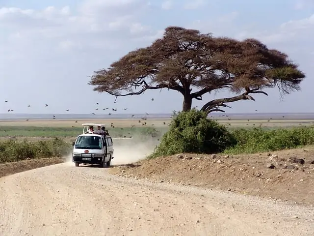 Beste Reisezeit für Nationalparks in Kenia