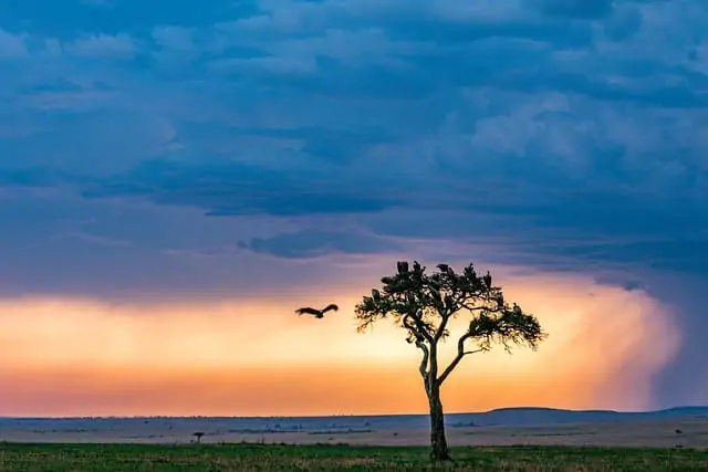 Nebensaison in Kenia